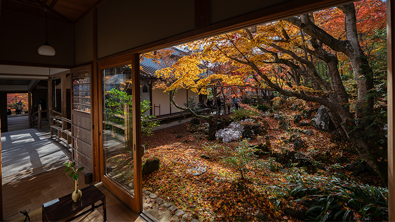 書院から撮影