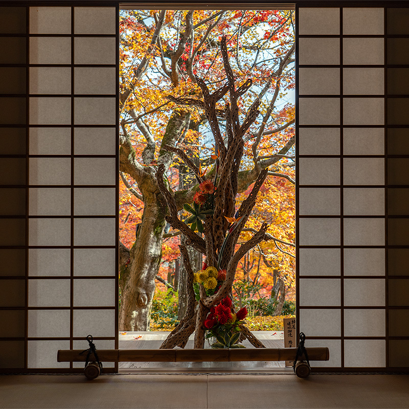 いけばな嵯峨御流