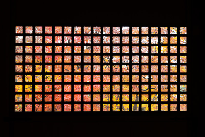 格子越しの紅葉