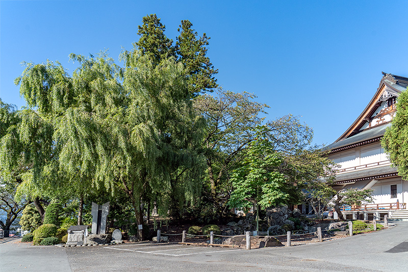 石庭