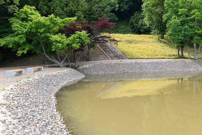 樺崎寺浄土庭園　2018年に復元された池岸