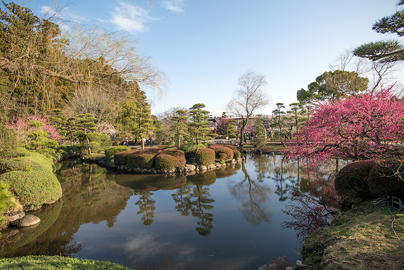 梅桜橋近くの池泉庭園