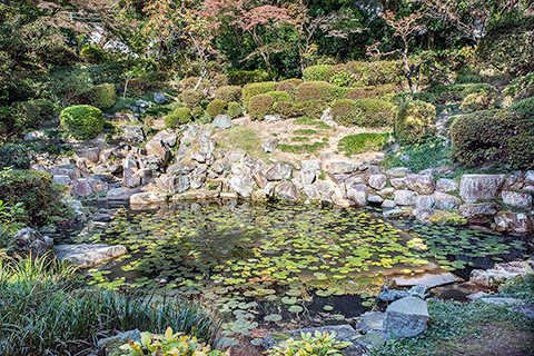 海蔵寺　石組庭園