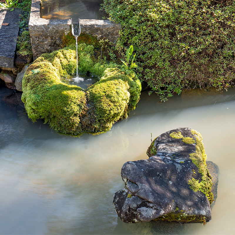 苔むした手水鉢