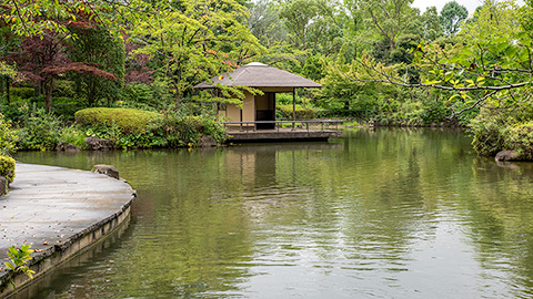 柏の葉公園　日本庭園