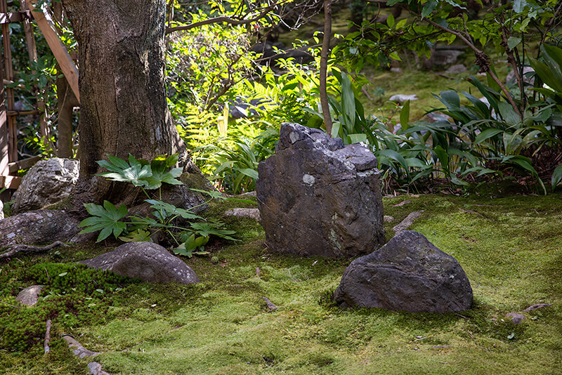 桂春院「侘の庭」　三尊石