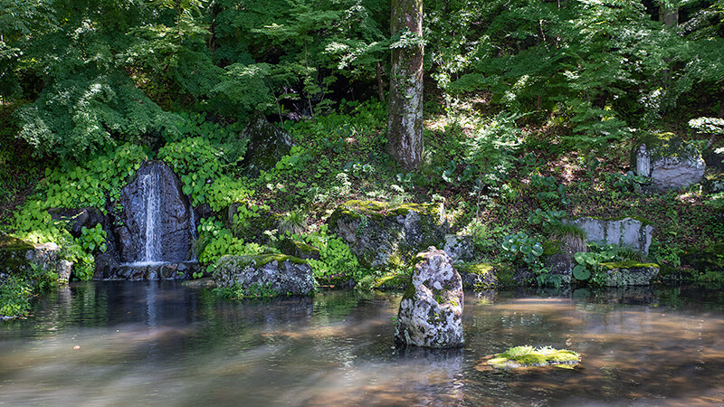 池中立石