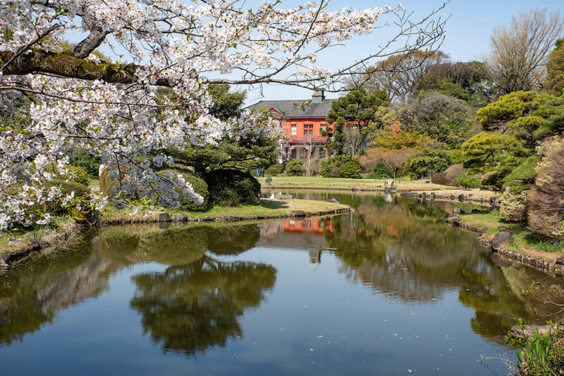 小石川植物園　日本庭園