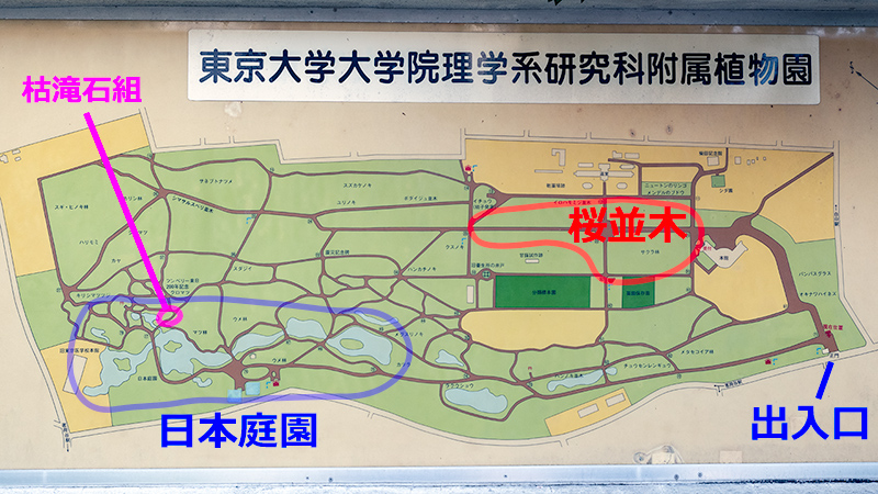 小石川植物園の案内図