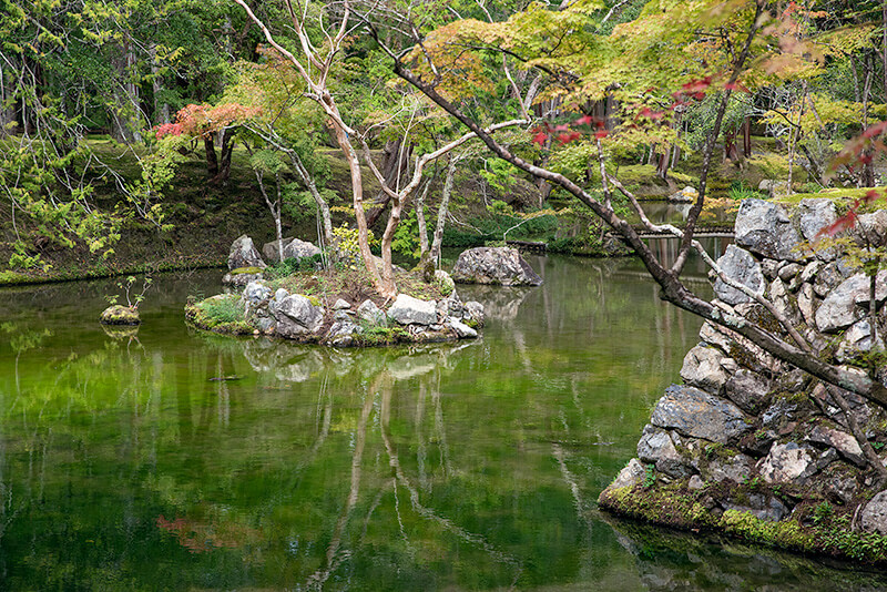 西芳寺庭園(苔寺)の鶴島
