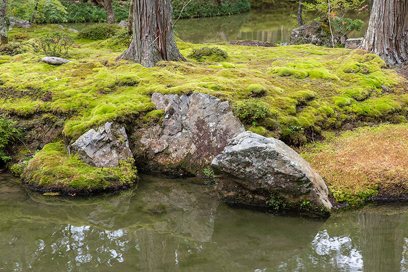 西芳寺庭園(苔寺)の三尊石