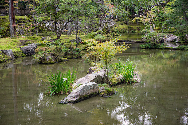 西芳寺庭園(苔寺)の亀石