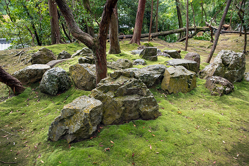 西芳寺庭園(苔寺)の亀石組