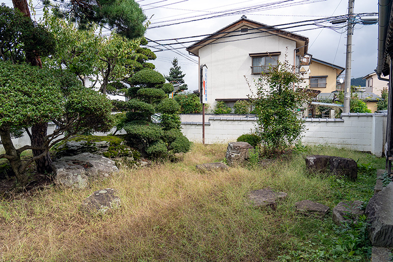 雑草が伸びきっている