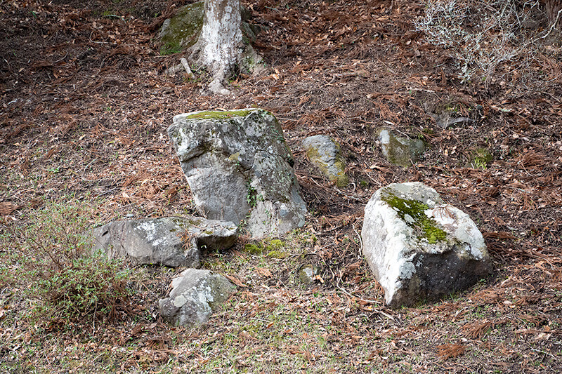 三尊石風の蓬莱石
