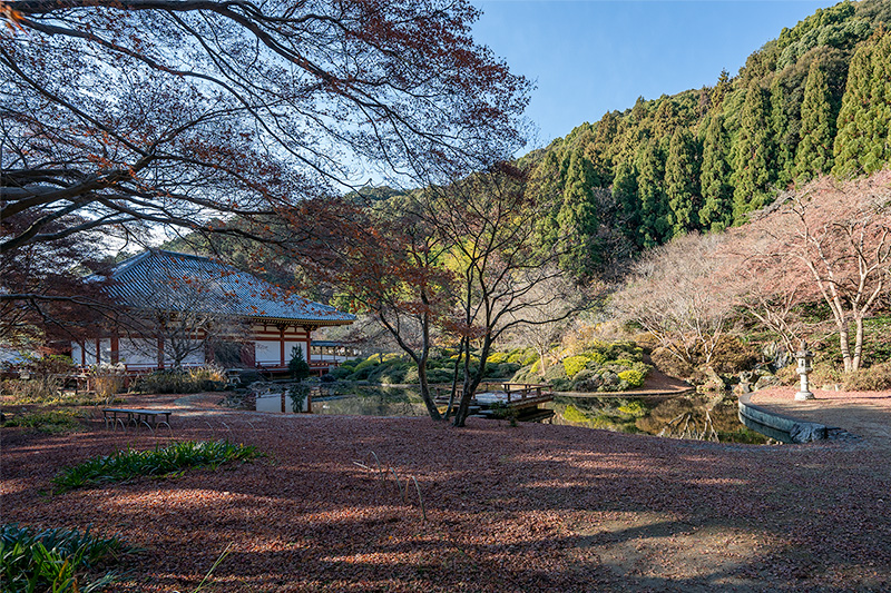 虚空園