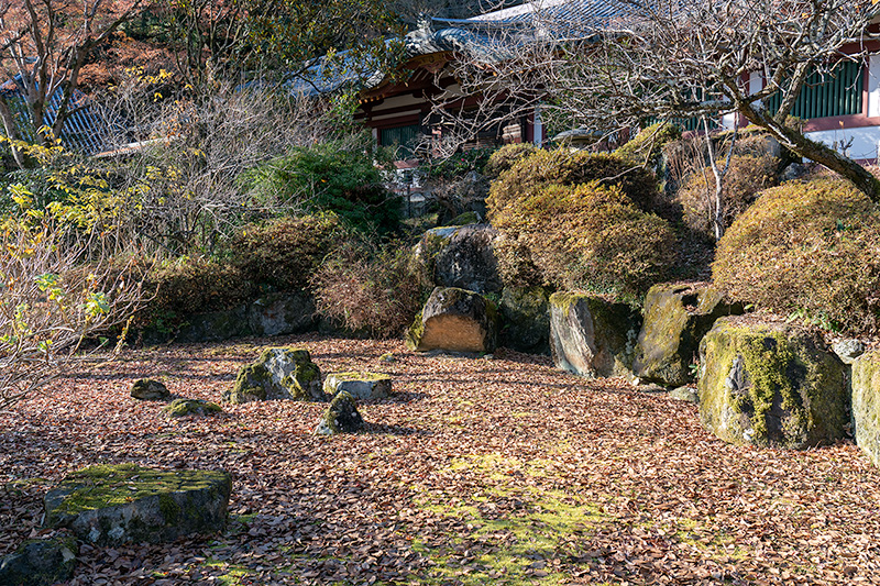 普供養の庭