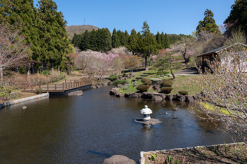カントリーパーク日本庭園