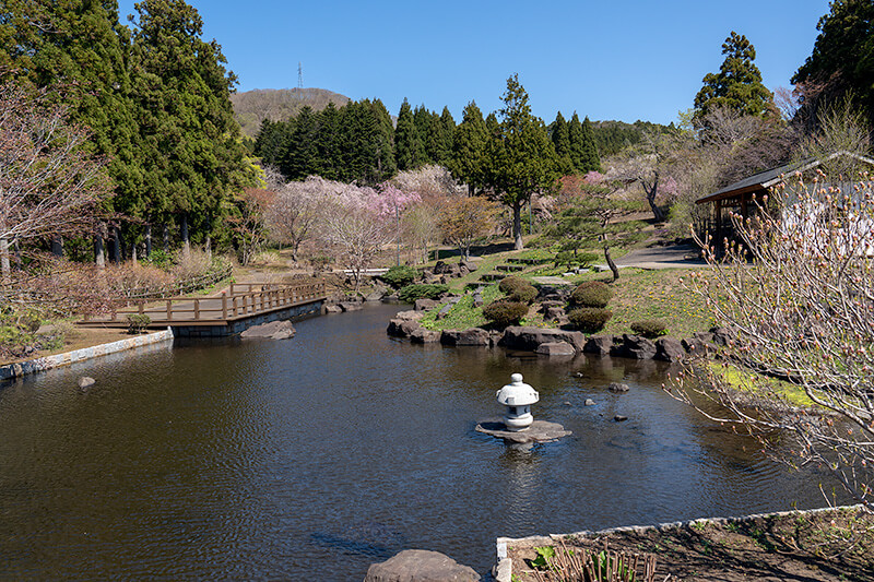 カントリーパーク日本庭園