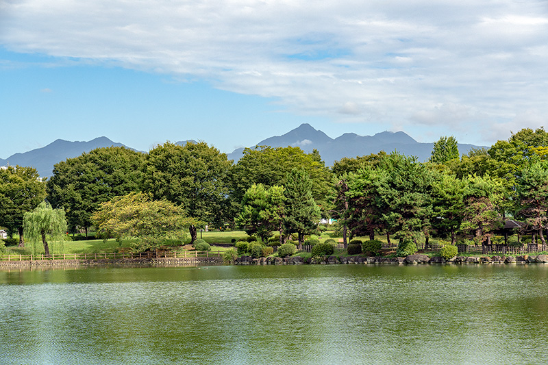 豊富な水量