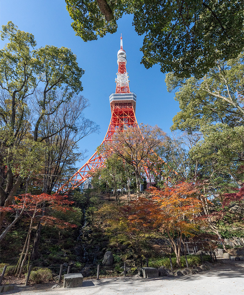 東京タワー