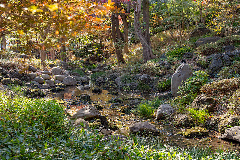 深山幽谷の景