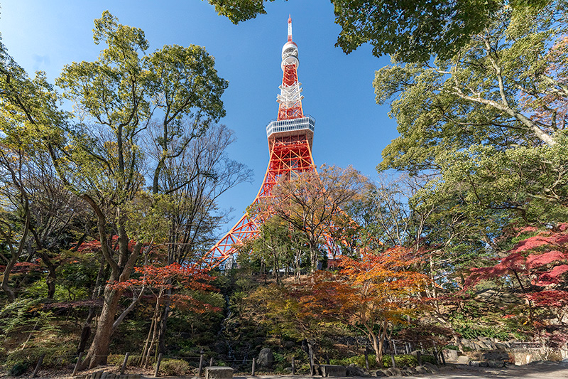 東京タワーともみじ谷