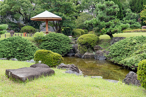 名古屋市博物館 日本庭園