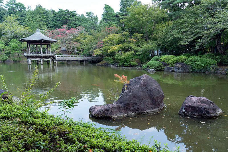 龍智の池