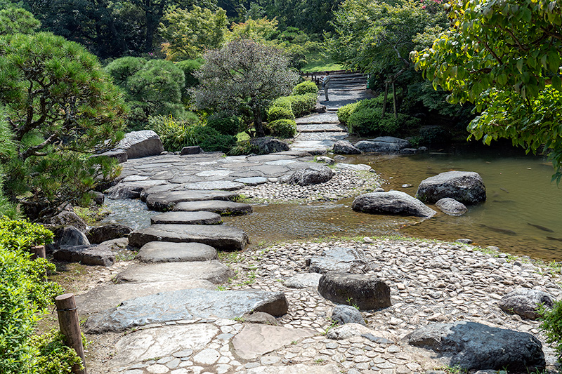 龍樹の池