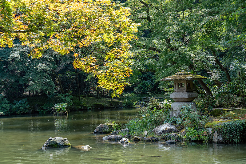 龍樹の池