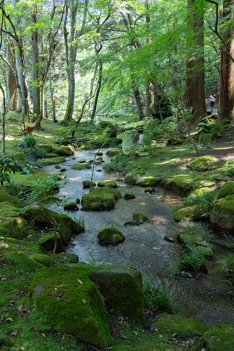 「文殊の池」に続くせせらぎ