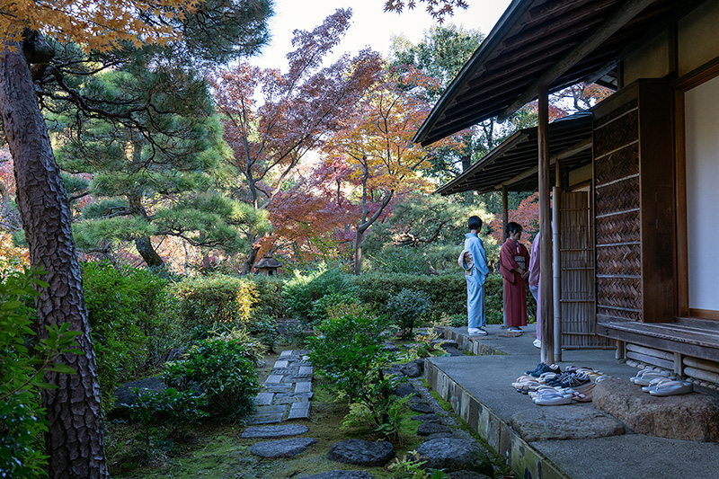 披錦斎・一樹庵