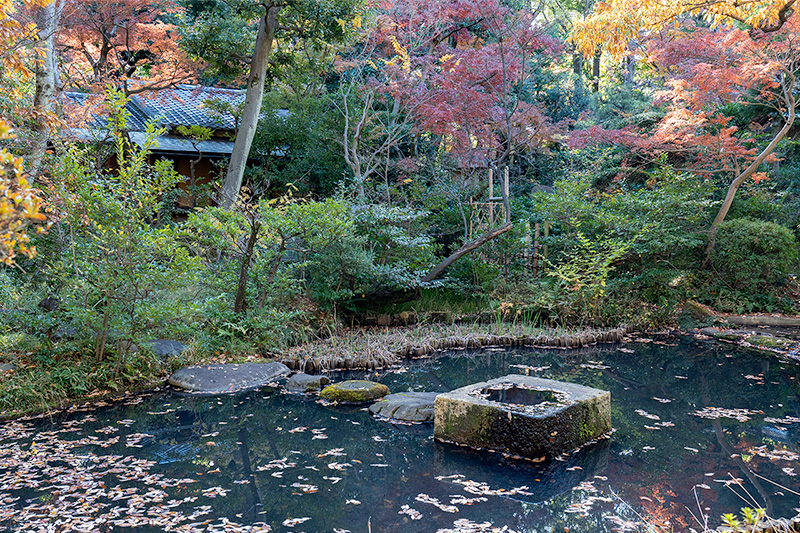 吹上の井筒