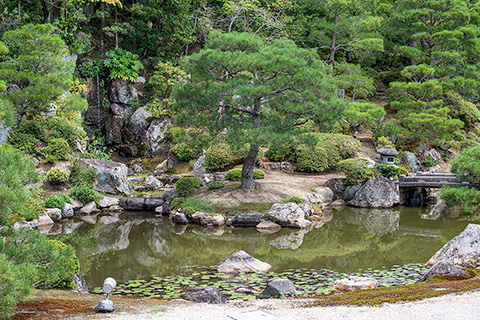 限定セール！】 植治の庭 小川治兵衛の世界 趣味/スポーツ/実用 