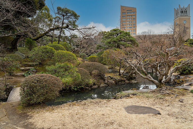 早稲田大学をバックに池泉庭園を撮影