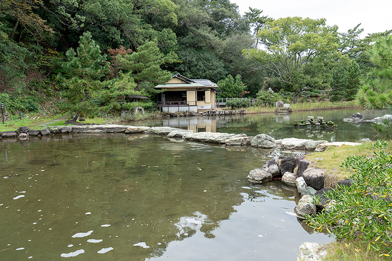 沢飛石