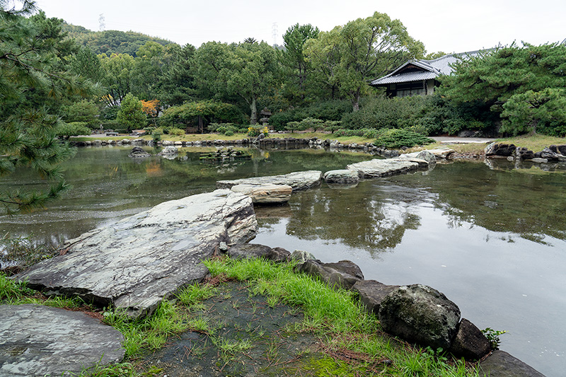沢飛石