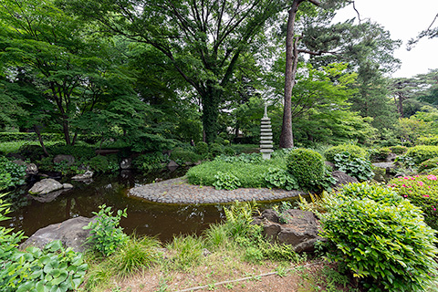 大宮公園 日本庭園
