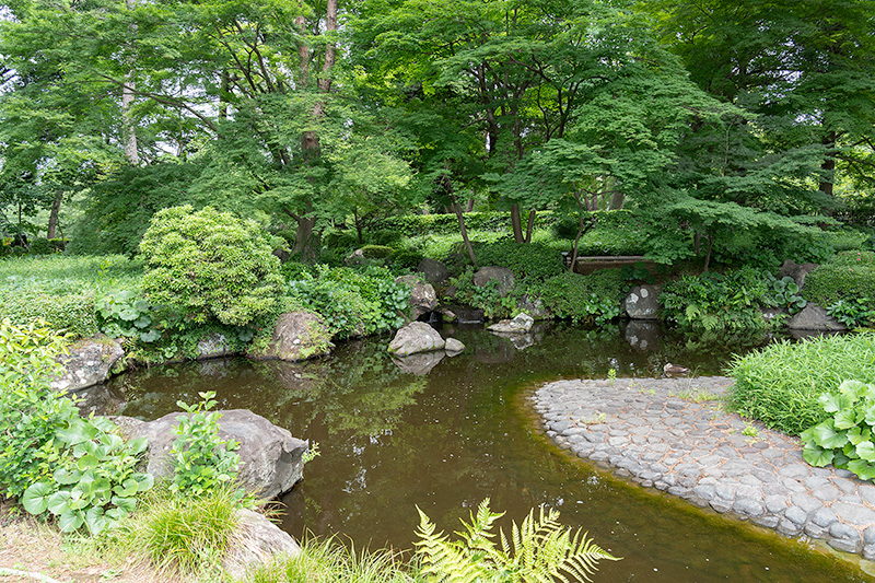 上段の池泉