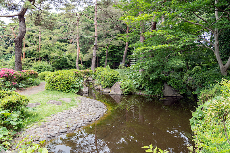 上段の池泉