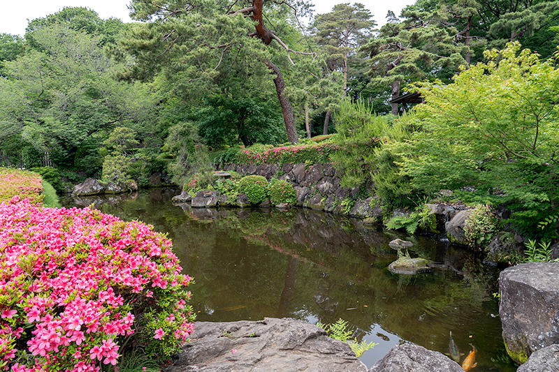 下段の池泉