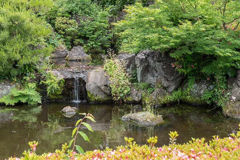 下段の池泉