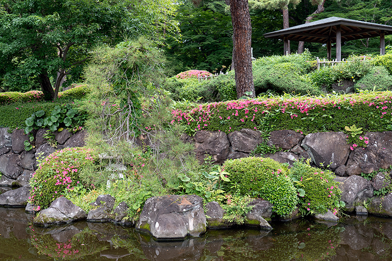 下段の池泉