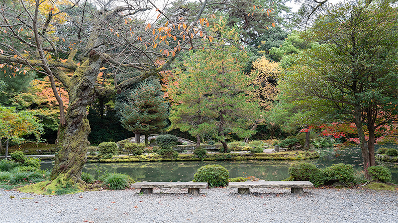 尾山神社庭園