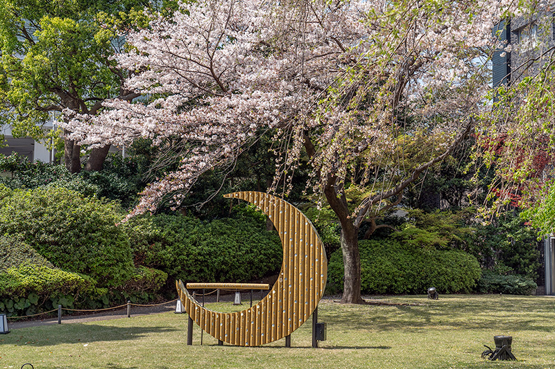 三日月と桜