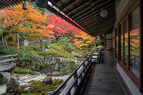 蓮華定院