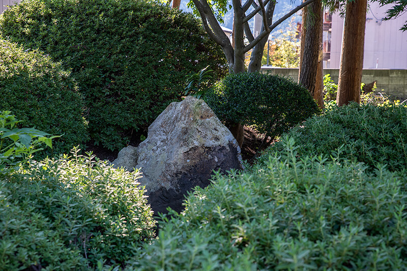 林泉寺庭園の唯一となる立石