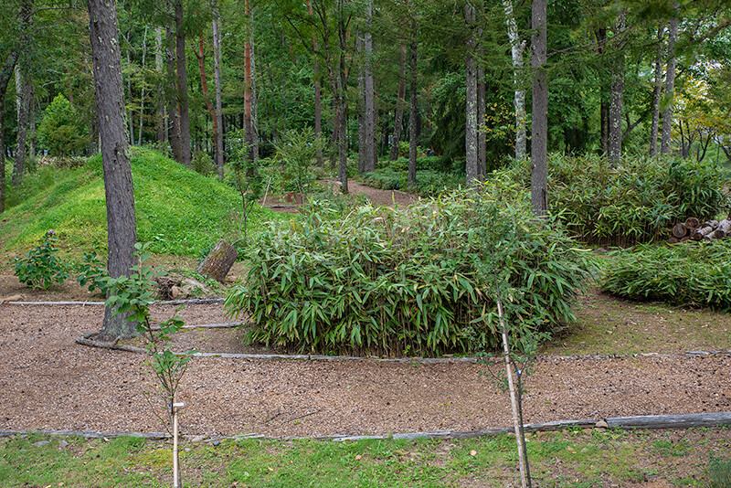 笹類植物園