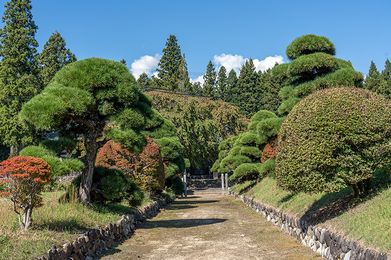 江戸時代から続く参道